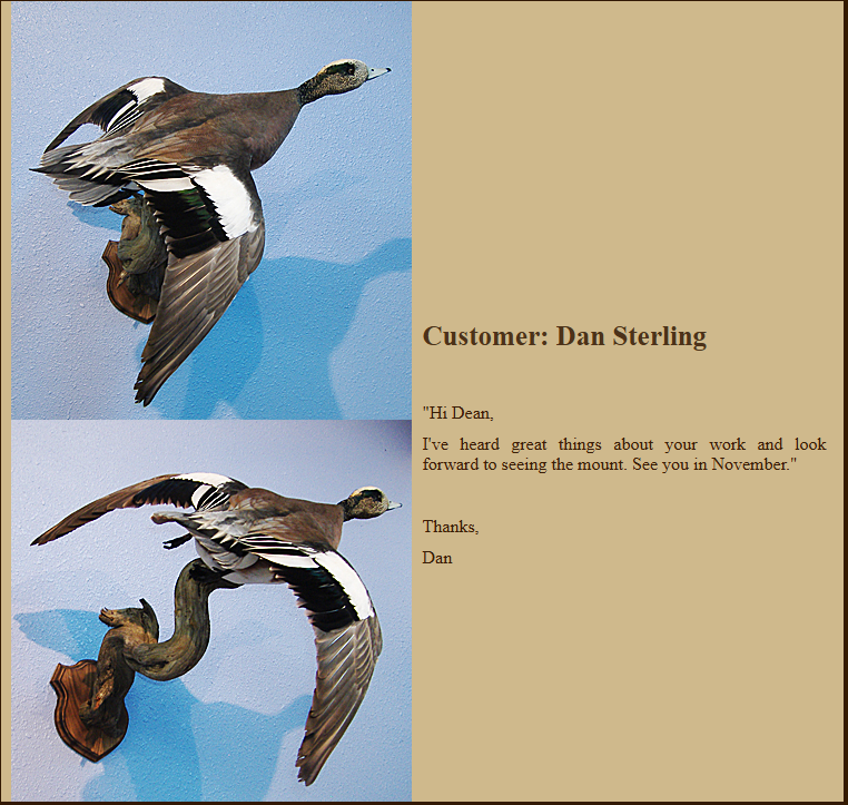 Mount by Emmick's Taxidermy — Dan Sterling