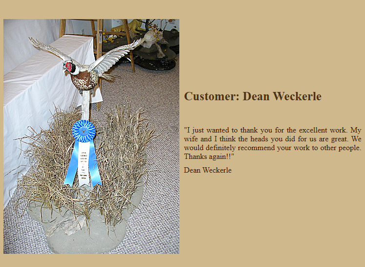 Mount by Emmick's Taxidermy — Dean Weckerle