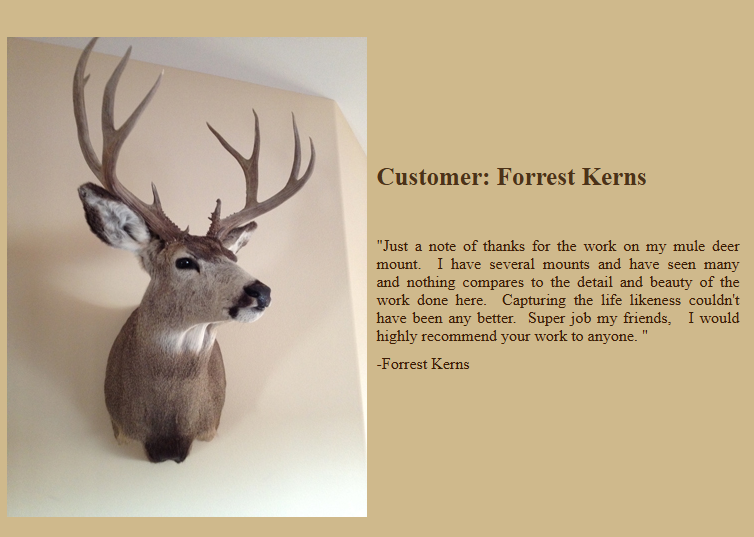 Mount by Emmick's Taxidermy — Forrest Kerns